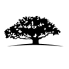 WisdomTree Dynamic International SmallCap Equity ETF